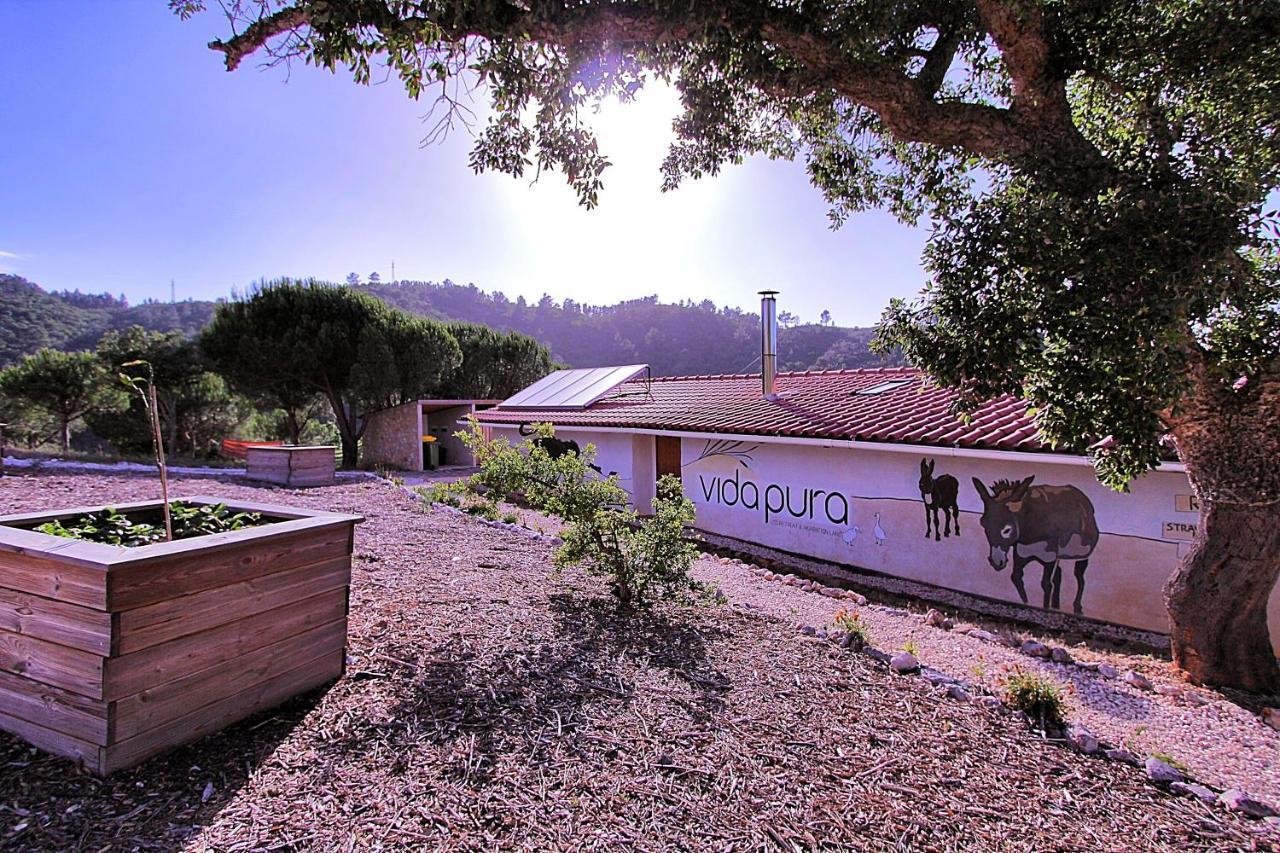 Vida Pura Guesthouse Odeceixe Buitenkant foto